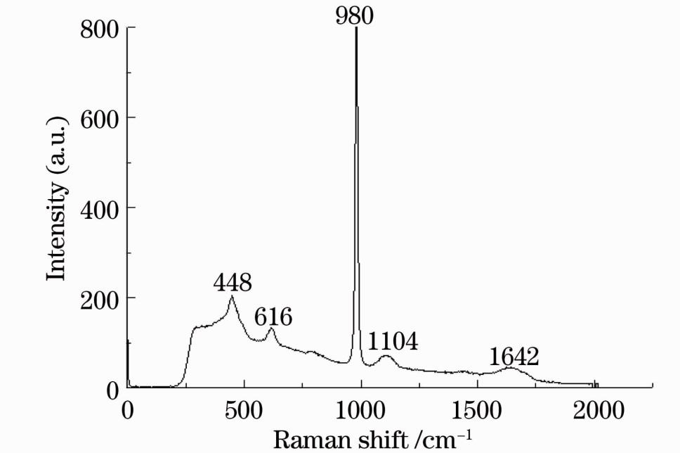 使用拉曼光譜儀快速檢測硫酸銨